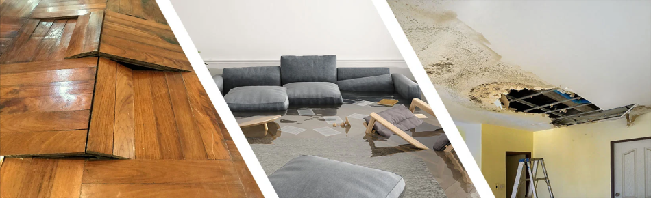 Crawl space moisture inspection